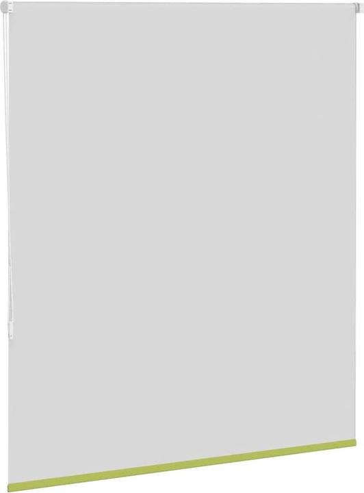 Actual product image vidaXL Verdunkelungsrollo (120 x 175 cm)