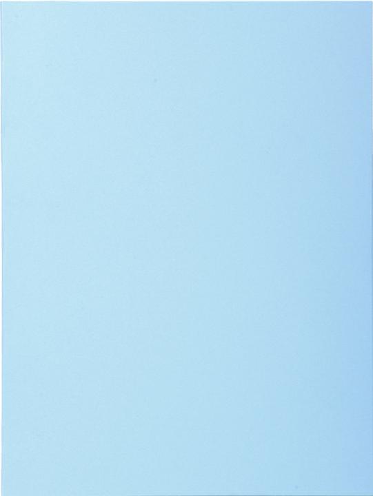 Immagine prodotto Exacompta Scrapbook - Copertine di file (A4, 100 x)