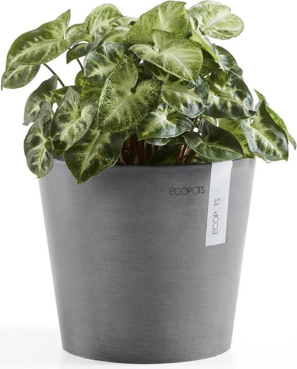 Actual product image Ecopots Amsterdam (30 cm)