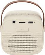 Actual product image Party karaoke design speaker and microphone