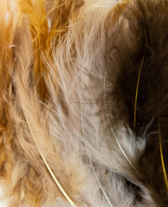 Actual product image I Am Creative Decorative feathers, natural feathers