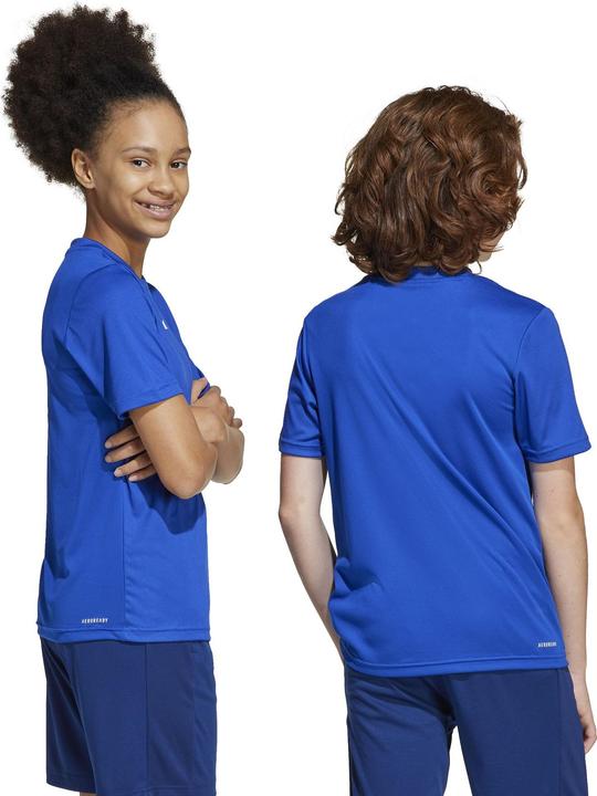 Actual product image adidas Train Essentials Logo (164)
