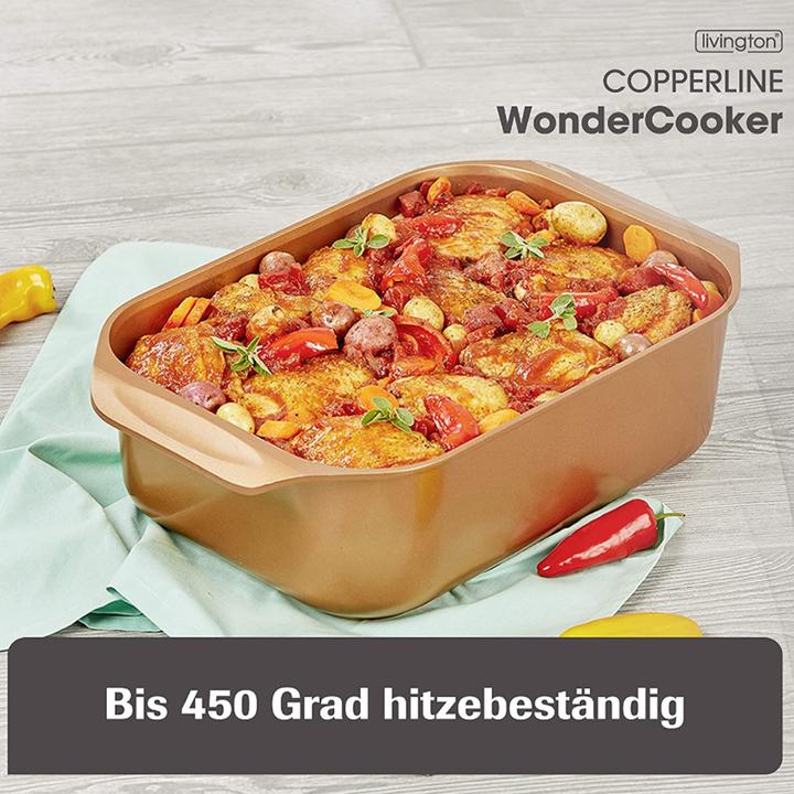 Actual product image Livington Copperline Wonder Cooker (Casserole + Stewpot, Aluminium)