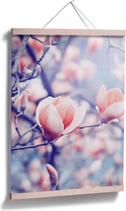 Immagine prodotto Trenddeko Germoglio di magnolia (30 x 40 cm)