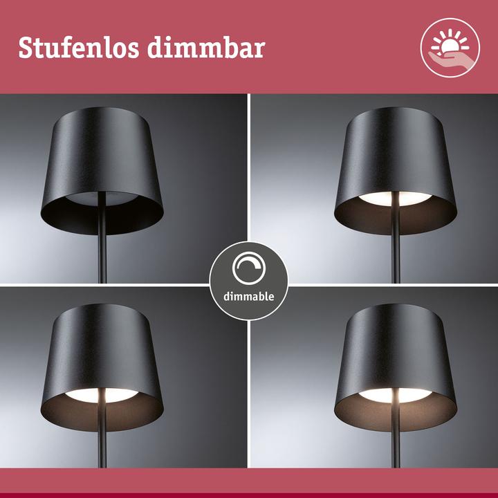 Actual product image Paulmann Gilo (240 lm)