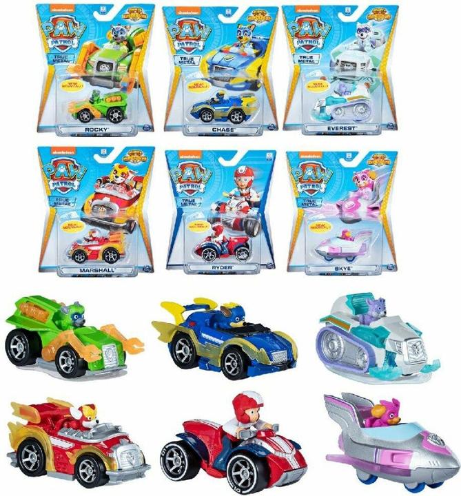 Actual product image Spin Master Paw Patrol