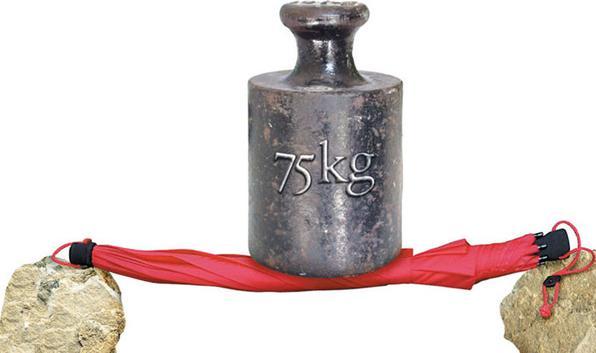 Immagine prodotto Euroschirm Birdiepal all'aperto