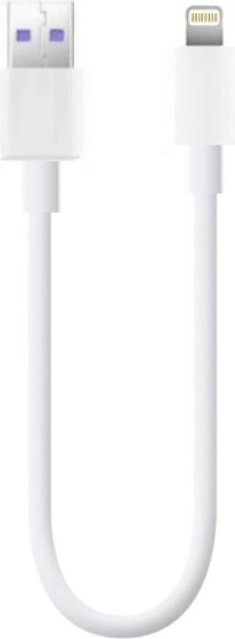 PowerGuard USB A – Lightning (0.20 m, USB 3.1)