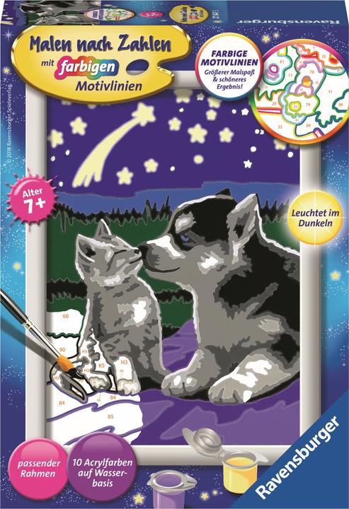 Actual product image Ravensburger Dog and cat