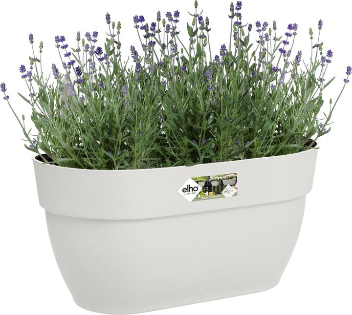 Actual product image Elho Flower Bowl (36 x 24 x 26.50 cm)