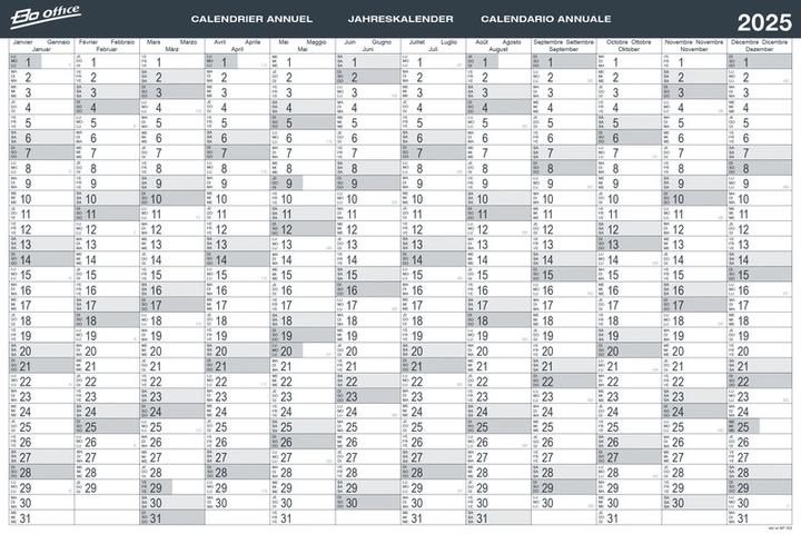 BoOffice Planificateur annuel (90 x 60 cm, Non contraignant, Allemand, Français, Italien, Anglais)