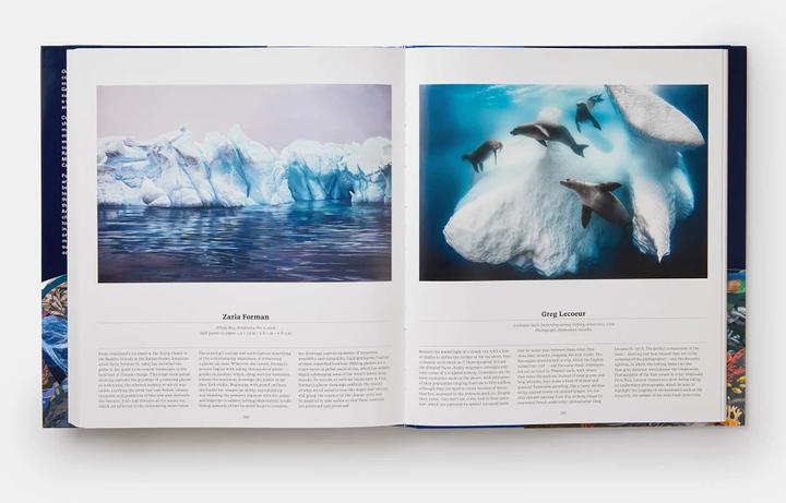 Produktbild Ocean (Englisch, Anne-Marie Melster, Collectif, Phaidon Editors, 2022)