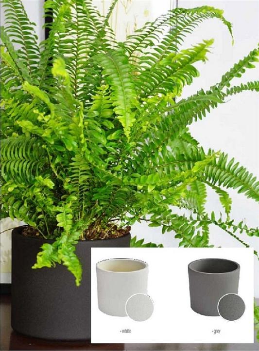 Produktbild Domoletti Ceramic pot, WALEC STRUCTUR, Ø 32 cm, white (32 x 30.50 cm)