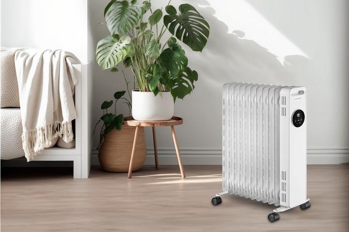 Actual product image Concept RO3411 (2300 W)