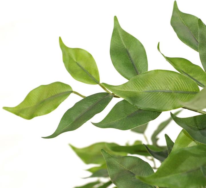 Actual product image Hjh Office Ficus I (120 cm)