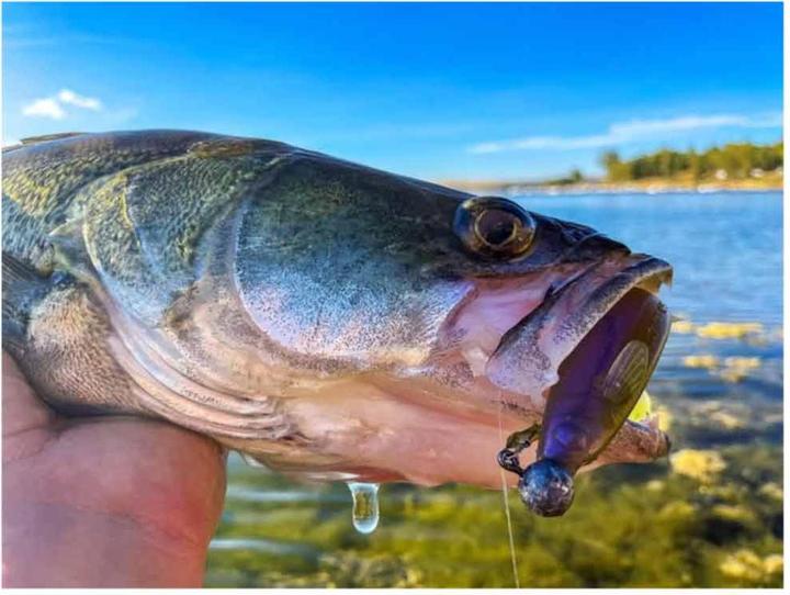 Produktbild Stucki Thun Real Rider Paddle Tail (10 cm)