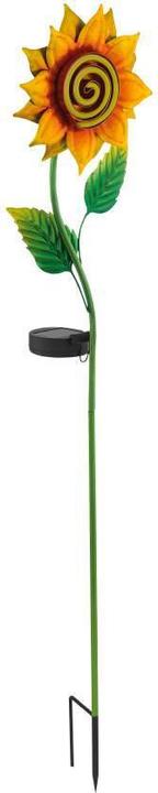 EGLO 48814 Z SOLAR LED tuinlamp 20x0.01W 60x180mm Gekleurd (20 lm, IP20)