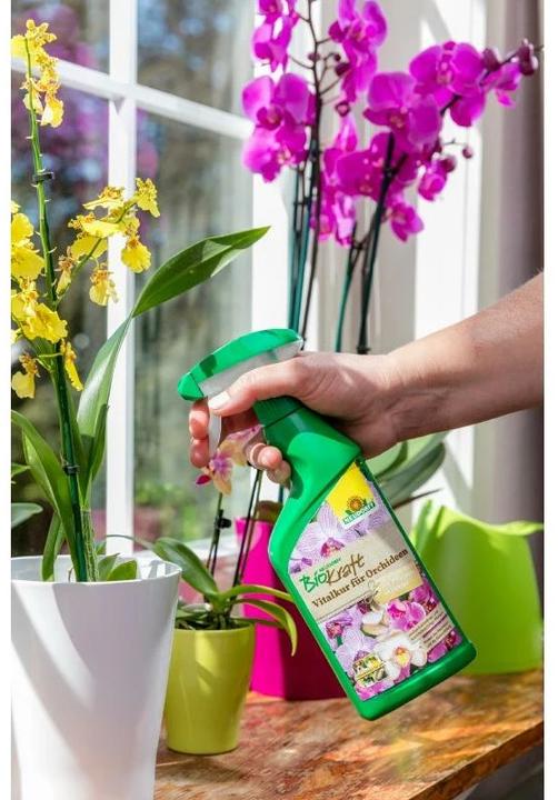 Produktbild Neudorff BioKraft Vitalkur für Orchideen, 500 ml