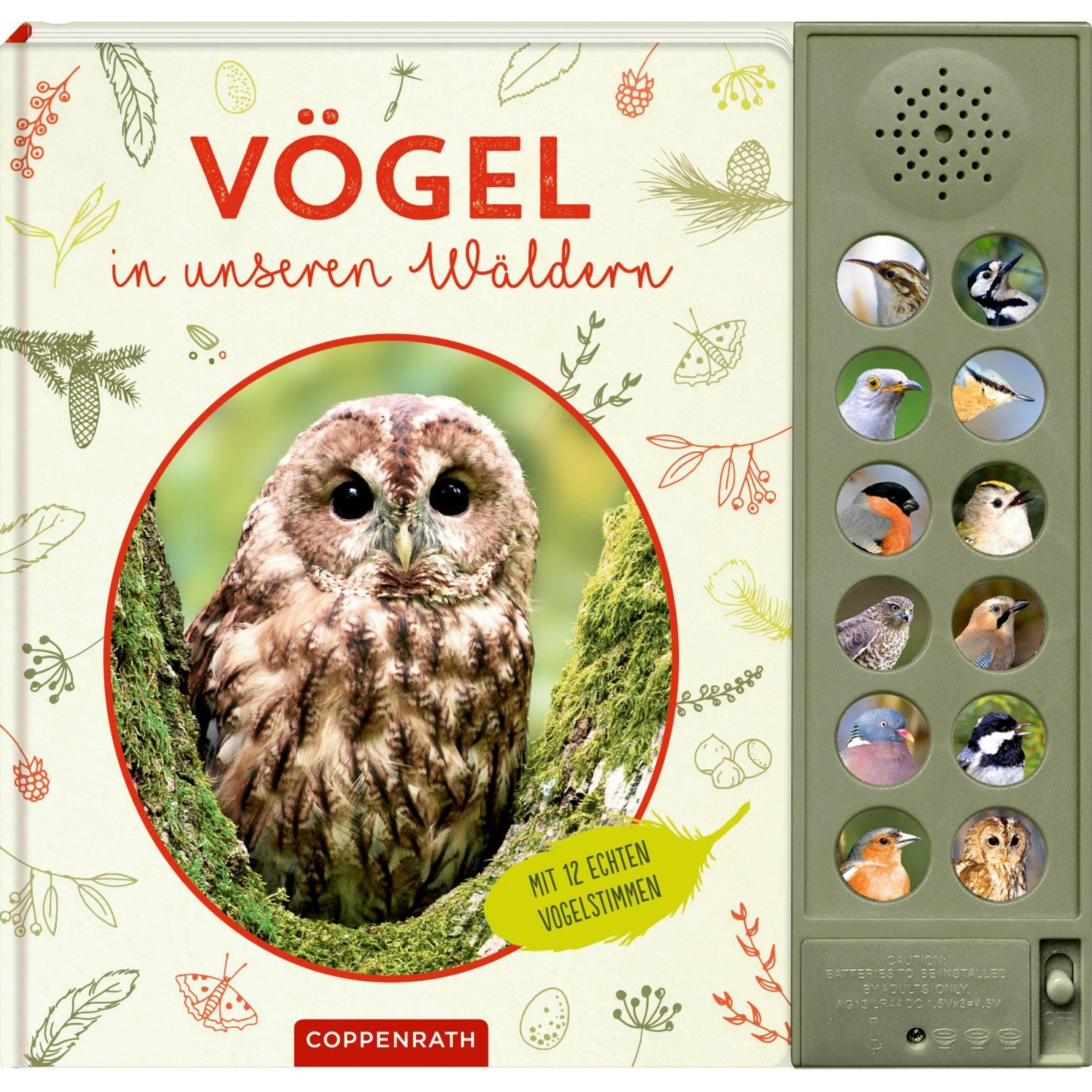 Vögel in unseren Wäldern, Sachbücher von Holger Haag