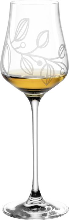 Immagine prodotto Leonardo Bicchiere da grappa Boccio 210 ml, 6 pezzi, Trasparente (2.10 dl, 6x, Bicchieri da liquore + bicchieri da grappa)