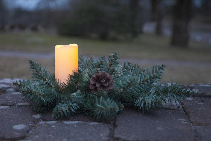 Immagine prodotto Star Trading Sereno (1 x)