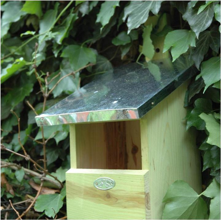 Image du produit Esschert Design Nichoir rouge-queue noir