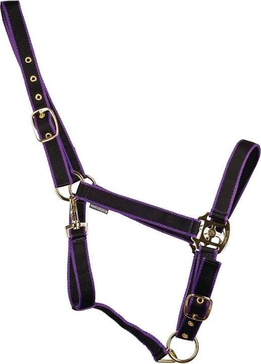 Image du produit Hyconic - Licol