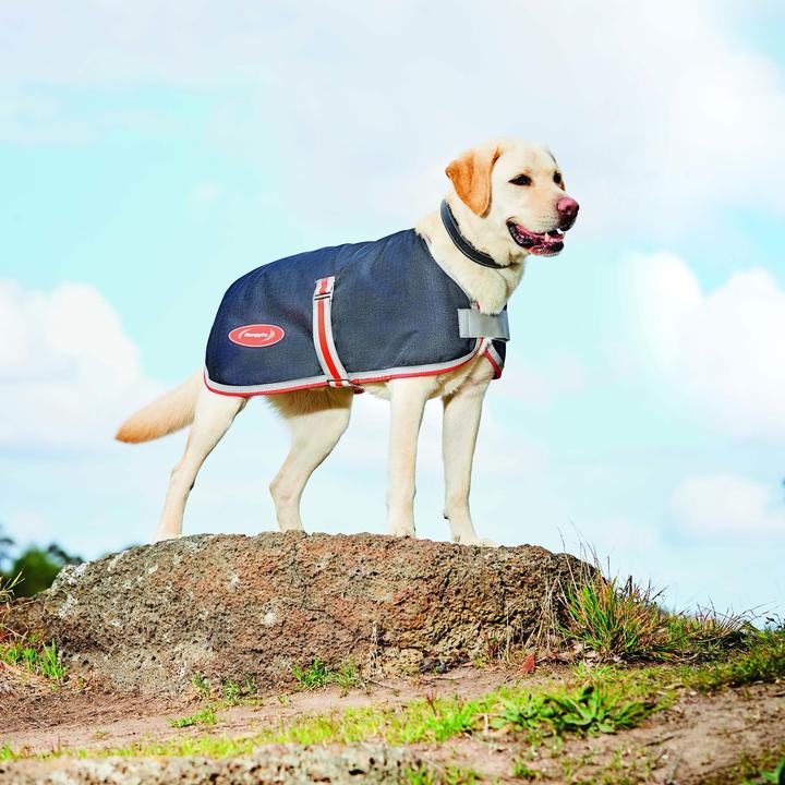 Actual product image Weatherbeeta Comfitec 1200D Therapy-Tec dog coat (25, Dog coat)