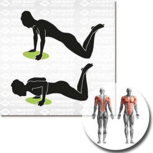 Produktbild Schildkröt Balance