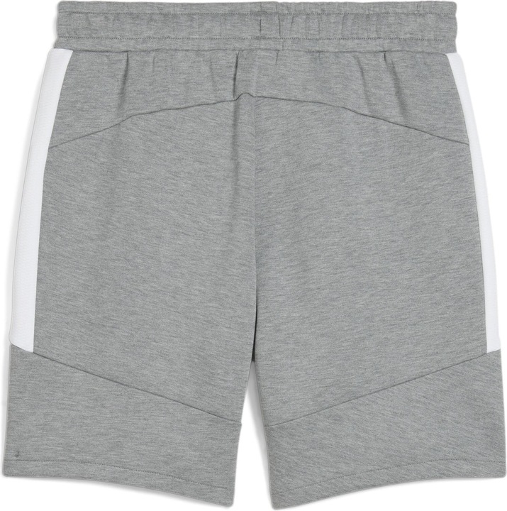 Actual product image Puma teamEVOSTRIPE Shorts (L)