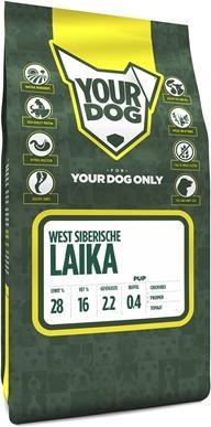Immagine prodotto Yourdog Cucciolo di Laika della Siberia occidentale (6050 g)