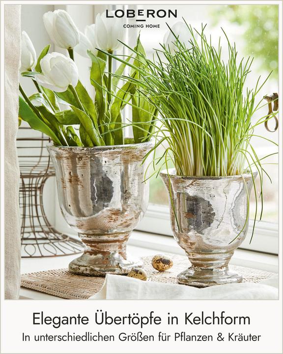 Produktbild Loberon Banon (16.50 x 19 cm)