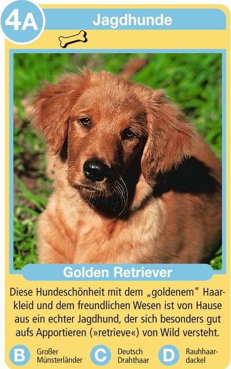 Produktbild Ravensburger Hunde (Deutsch, 3 - 6 Spieler)