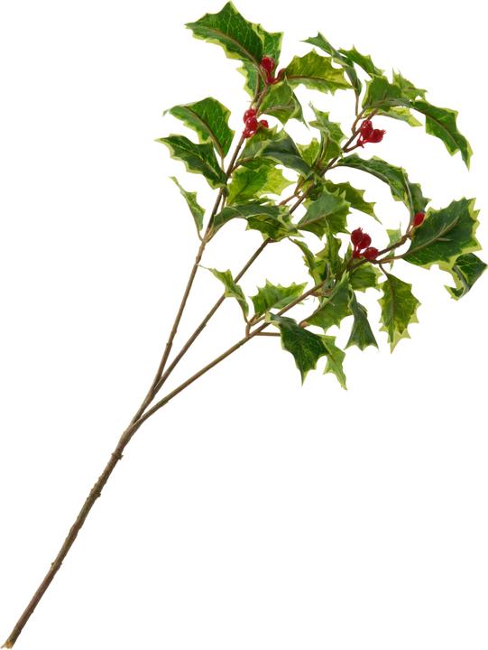 Image du produit DPI Branche d'Ilex avec baies, L 40 cm