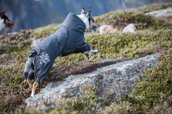 Immagine prodotto Hurtta Extreme Overall (60, Cappotto per cani)