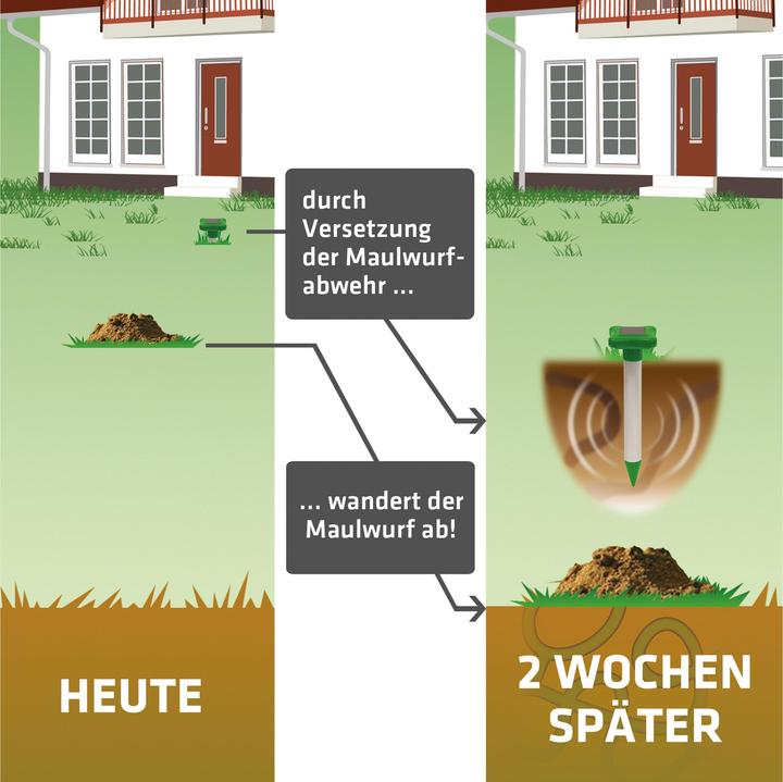 Actual product image Gardigo Solar mole defense