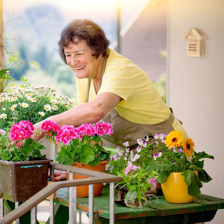 Image du produit Relaxdays Maison des coccinelles (Coccinelles)
