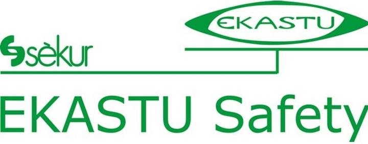 Actual product image Ekastu Sekur Multi-range/combination filter (Replacement respirator filter)