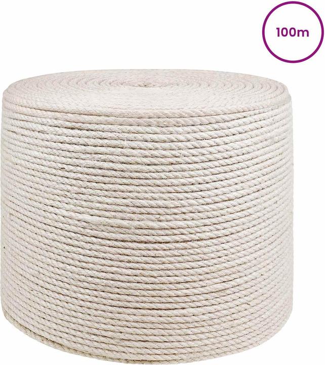 Produktbild vidaXL Natürliches Seil (100 m)