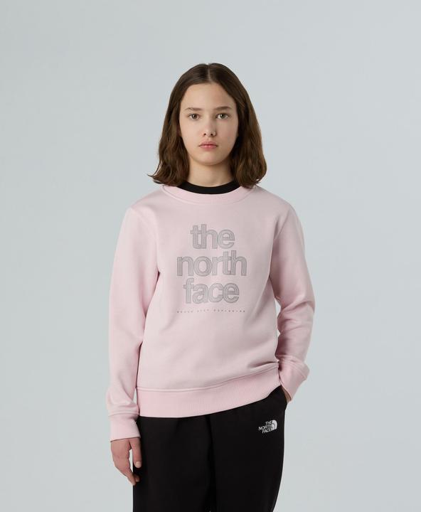 Immagine prodotto North Face Reflective Logo Relaxed Crew (134, 140)