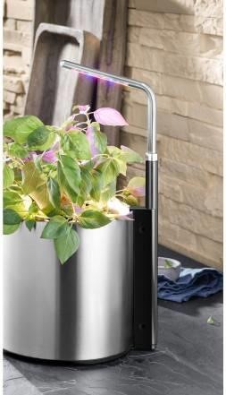 Actual product image WMF Ambient (LED)