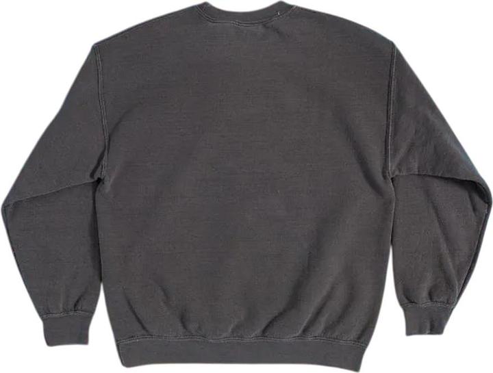 Produktbild A Goofy Movie Sweatshirt VintageWaschung (M)