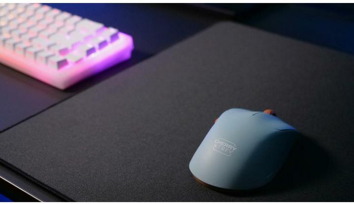 Actual product image CHERRY xtrfy GP5 Black, Large (L)