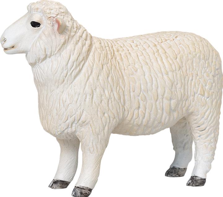 Actual product image Mojo Romney rams