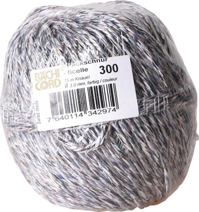 Actual product image Bächi-Cord Recycling packing cords - coloured (1 pcs.)