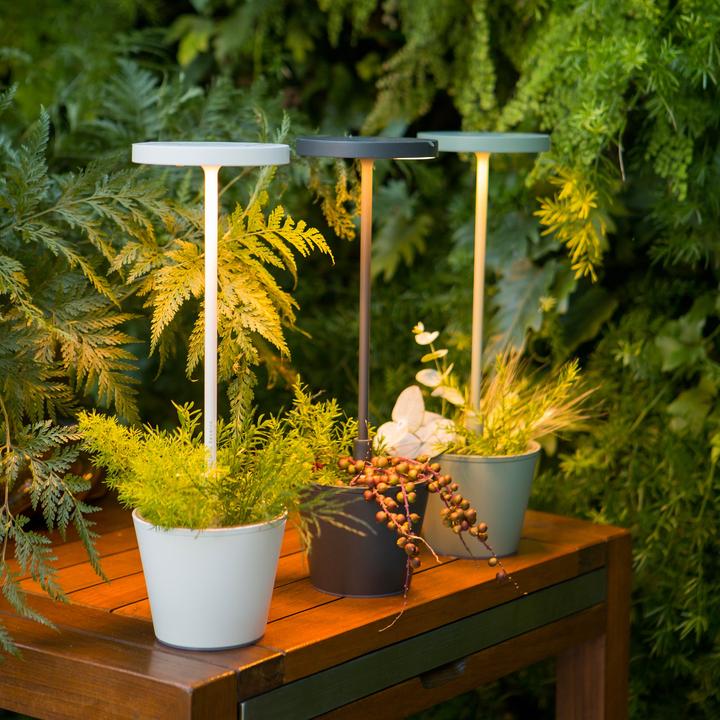 Image du produit Zafferano Poldina Reservo (262 lm)