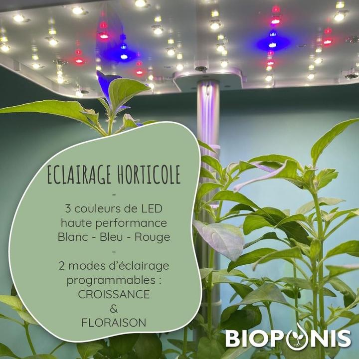 Actual product image Bioponis Eden