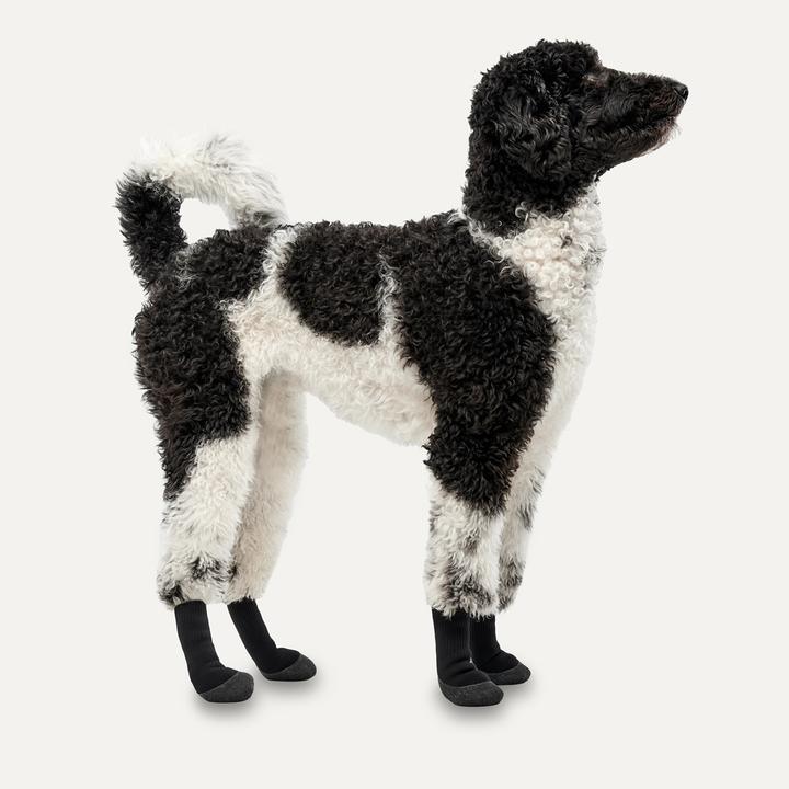 Actual product image Goo-eez Gooeez Lites Printed Dog Booties (4-pack) M Camo/Black (M, Dog boots)