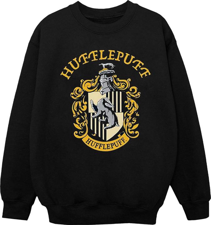Immagine prodotto Felpa in cotone Gryffondor per ragazzi (152, 158)
