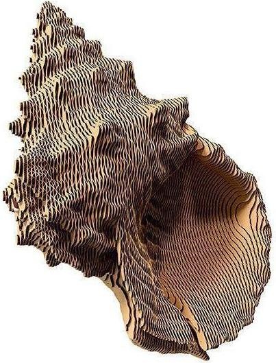 Cartonic Muschel - 3D Modell aus Karton
